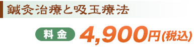 鍼灸治療と吸玉療法　4.900円（税込）